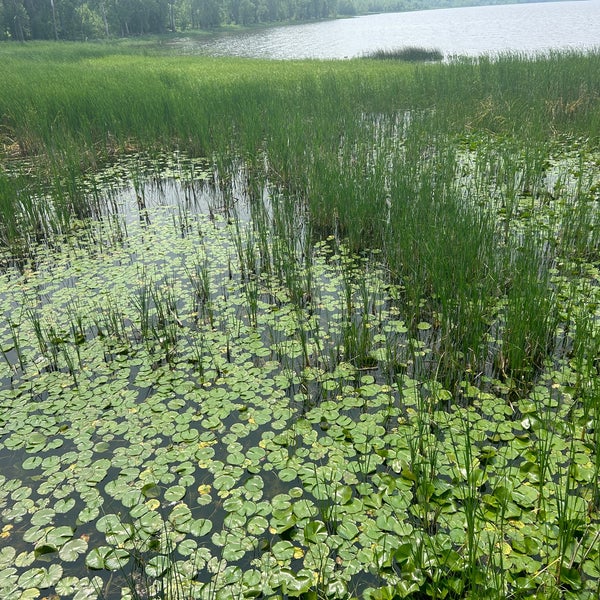 Britannia Park Ottawa, ON