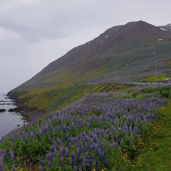 Ólafsfjörður City