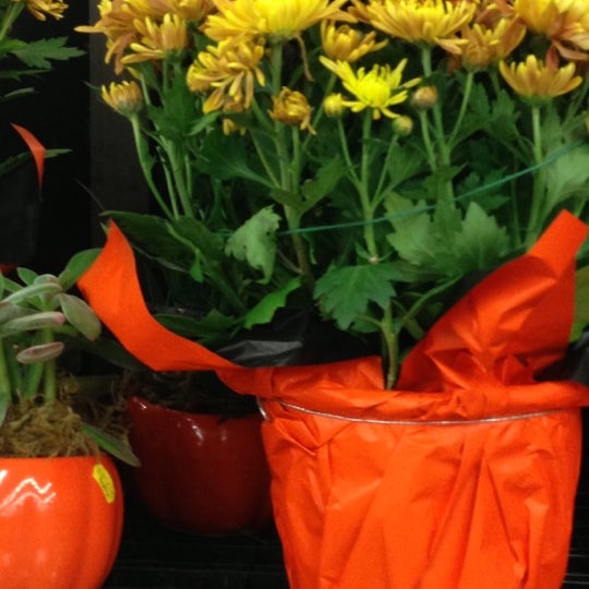 Stater Bros. Markets Grocery Store in Pomona