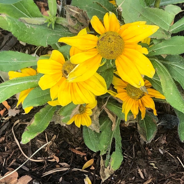 Home Goods Boulder Co