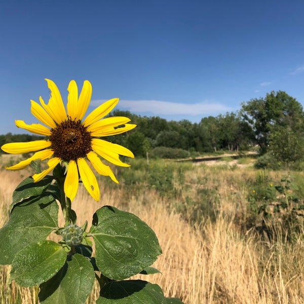 Poudre River Trail Hiking Trail in Laporte