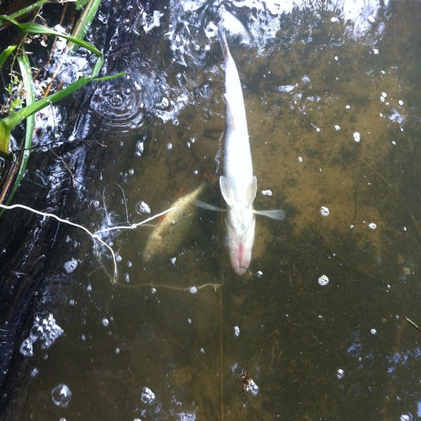 Обратный берег. Тягуны в черном море. Волны тягуны в анапе. Тягун рип. Рип волна.