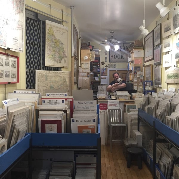 Opdagelse Hav om forladelse Photos at Pageant Print Shop - Antique Store in East Village