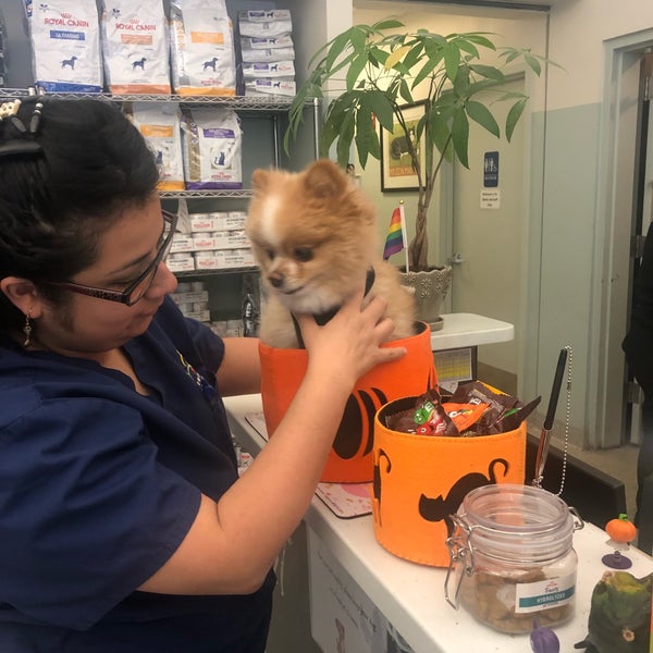 Снимок сделан в West Village Veterinary Hospital пользователем Christina P. 10/31/2018