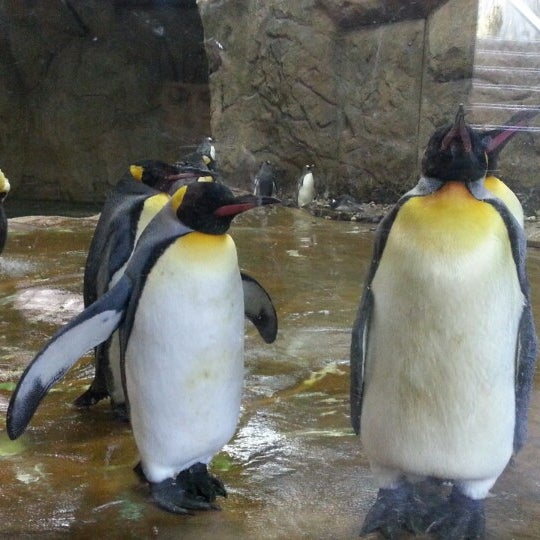 Zoologischer Garten Wuppertal Zoo Wuppertal, Nordrhein
