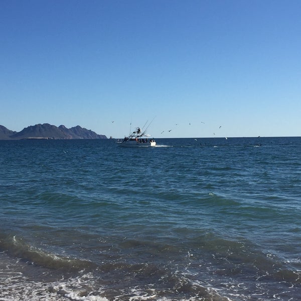 san carlos nuevo guaymas flights