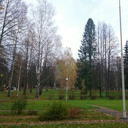 Ок нп. Иконка одноклассники на рабочий стол. Одноклассники 85 аватарка в группу. Некомерческое партнерство. Детский лагерь радист ижевск.