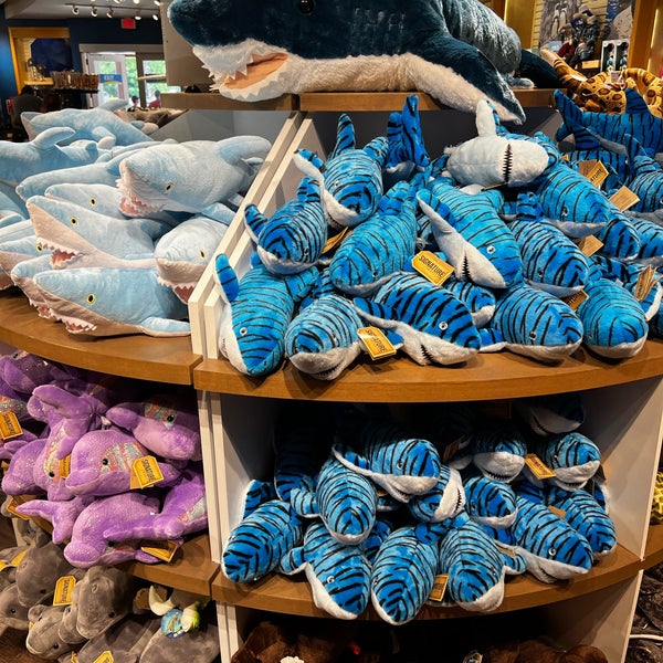 Mystic blue cheap fish store