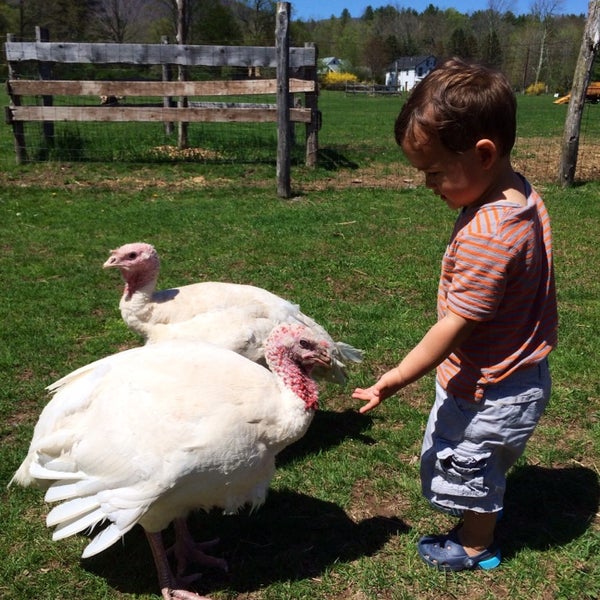 รูปภาพถ่ายที่ Woodstock Farm Animal Sanctuary โดย Joshua เมื่อ 5/11/2014