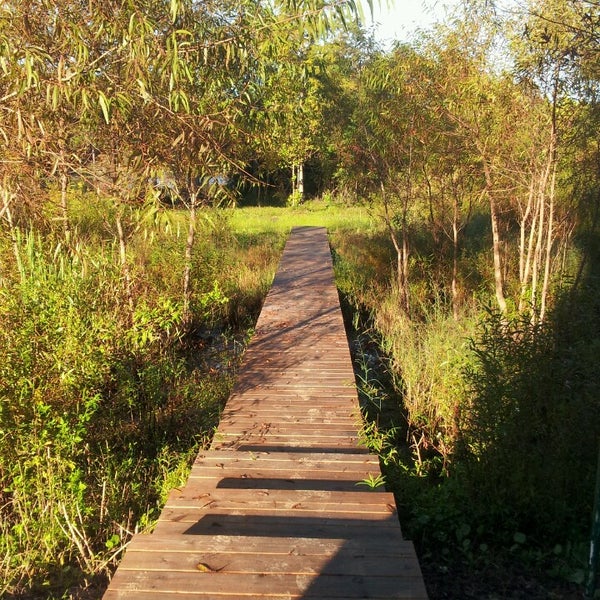 Bayou 2 tips from 255 visitors