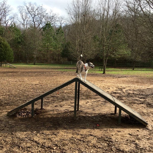 Greenway Dog Park 8 tips