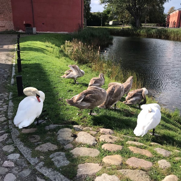 Снимок сделан в Malmö Museer пользователем Vera L. 9/18/2019