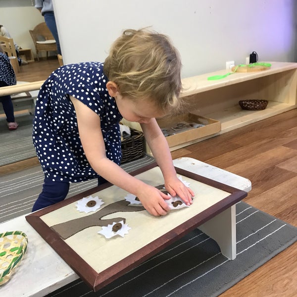 монтессори-школа михайловой руставели. михайлова монтессори. школа михайловой отзывы. школа михайловой отзывы. санкт-петербургская монтессори-школа михайловой.