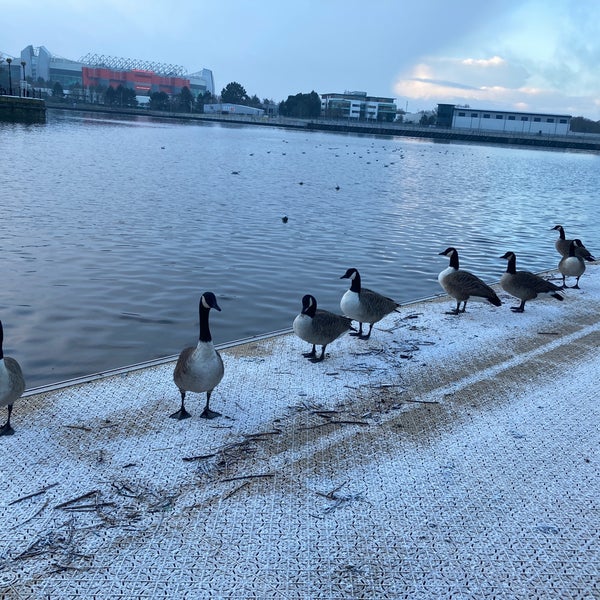 Photo taken at Salford Quays by Nick H. on 1/19/2023