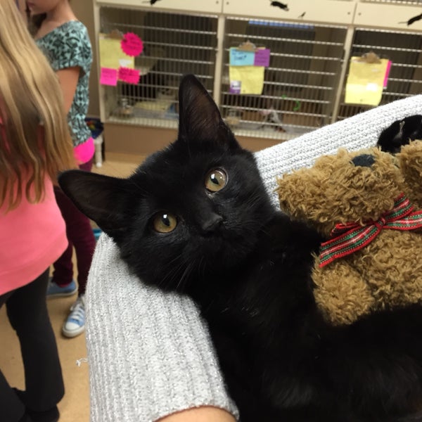 Virginia Beach Animal Care And Adoption Center Oceanfront 5 tips