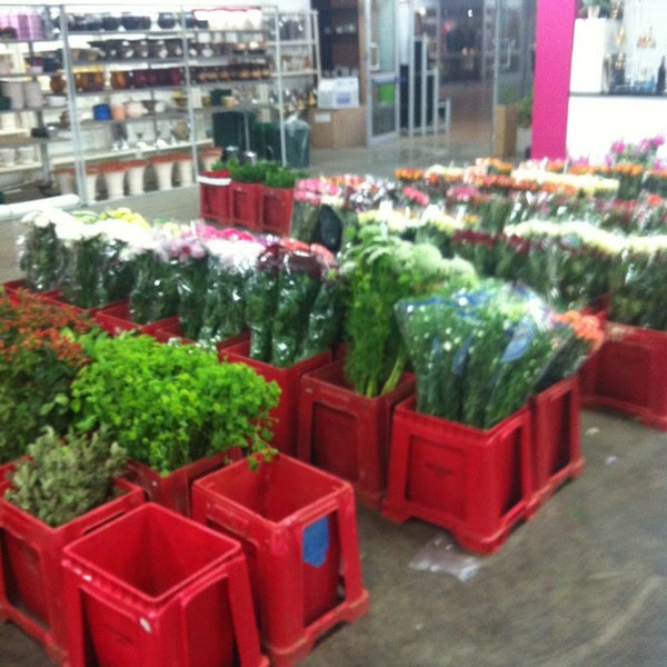 Multiflora Flower Market Johannesburg 2000 Best Flower Site