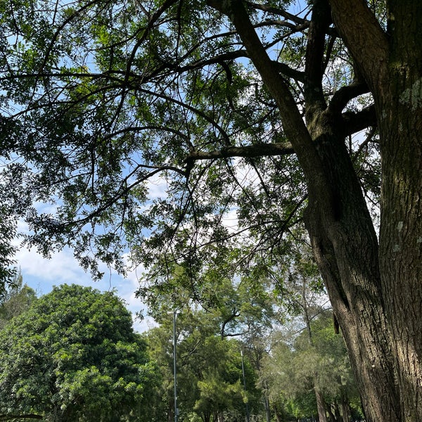 Foto tomada en Bosque de Chapultepec  por Mayrani O. el 9/18/2023