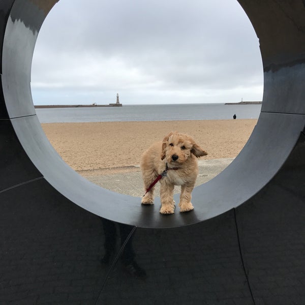 Roker Beach - Beach