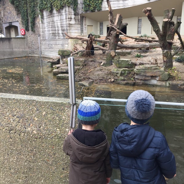 11/4/2015 tarihinde Ellen V.ziyaretçi tarafından Zoo Antwerpen'de çekilen fotoğraf