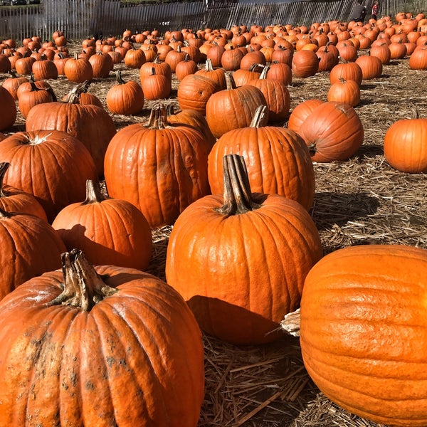 รูปภาพถ่ายที่ Smolak Farms โดย Rachel เมื่อ 10/18/2017