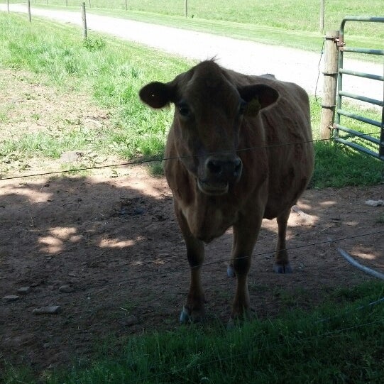 Cherry Grove Farm Farm in Lawrenceville