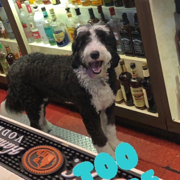 Astor Bar and Grill Bar in Jersey City