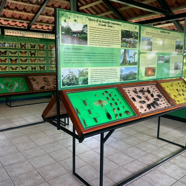 butterfly conservatory