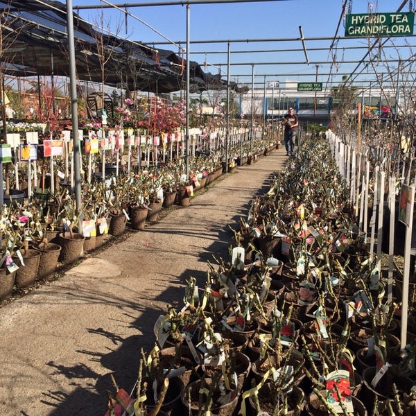 Photos at San Gabriel Nursery & Florist Garden Center