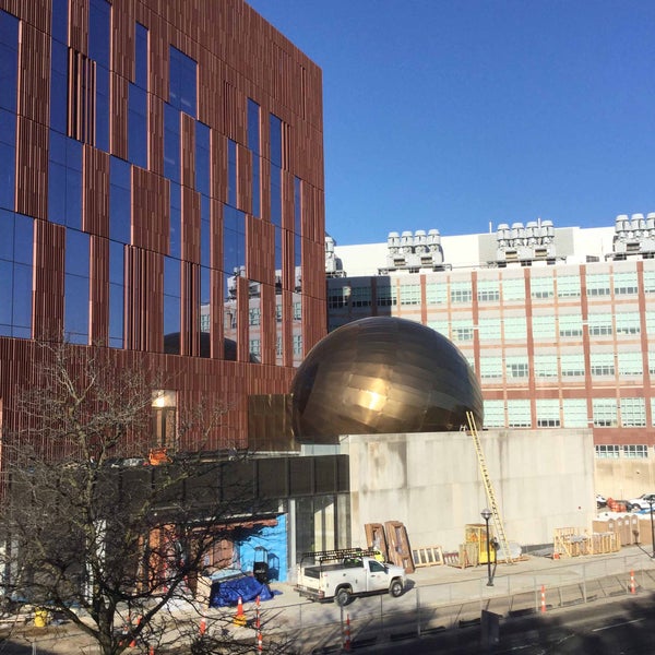 รูปภาพถ่ายที่ University of Michigan Museum of Natural History โดย University of Michigan Museum of Natural History เมื่อ 3/28/2018