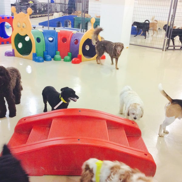 heartgard plus chewables for small dogs