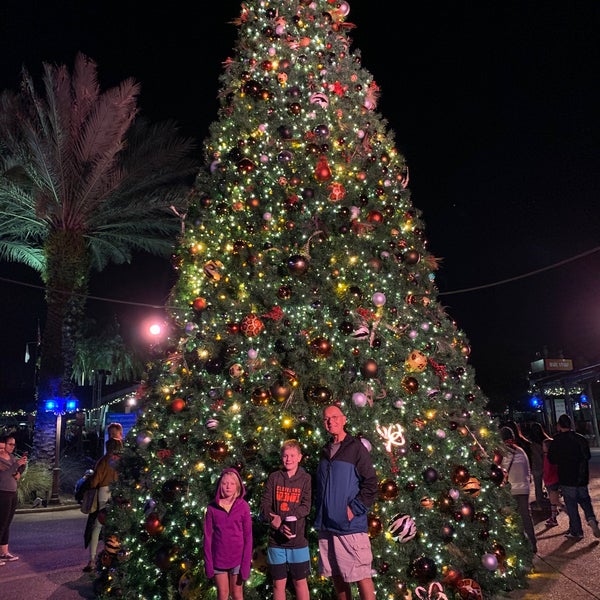 Foto scattata a Busch Gardens Tampa Bay da Debbie F. il 11/26/2019