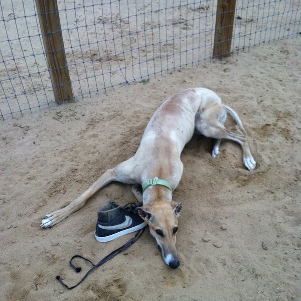 Kennedy Dog Park Dog Park in Kennedy