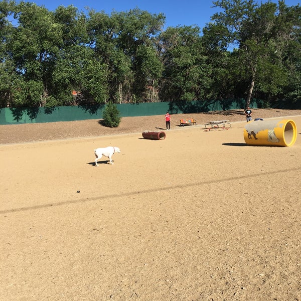 Virginia Lake Dog Park Reno'da Köpek Parkı