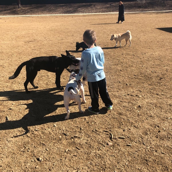 Virginia Lake Dog Park Reno'da Köpek Parkı