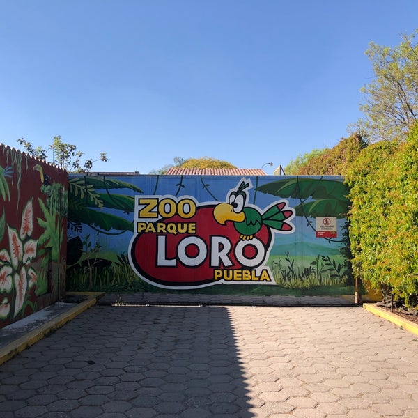 Photo taken at Zoo Parque Loro by Diego F. on 12/30/2021