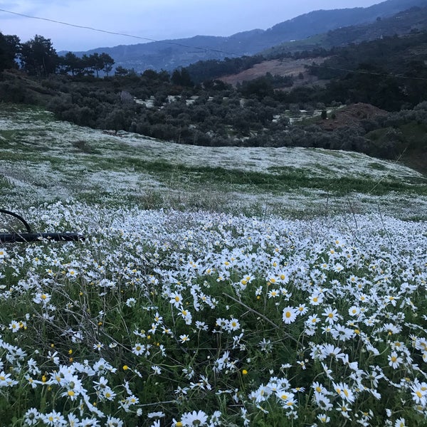 Foto diambil di Zeytinli Konak oleh Www W W W W. pada 2/25/2018