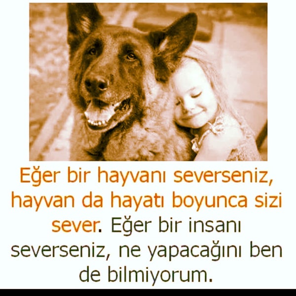 Photos At Istinye Park Residence Site Management Pinar Pinar Mahallesi Kilic Sokak Photos At Istinye Park Residence Site Management Pinar Pinar Mahallesi Kilic Sokak