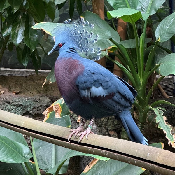 Photo taken at Central Park Zoo by Kai B. on 5/4/2024