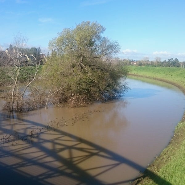 Shona River Feet