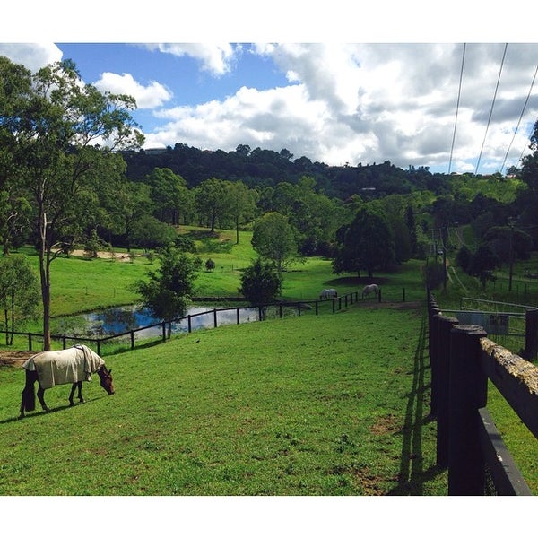 Mudgeeraba Mudgeeraba, QLD