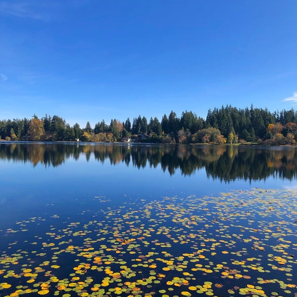 Фантом озера. Озеро призраков 2004. Фантом озера. Таинственное озеро. Фантом озера о чём?.