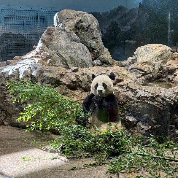 Photo taken at Smithsonian’s National Zoo by Spencer on 10/1/2023