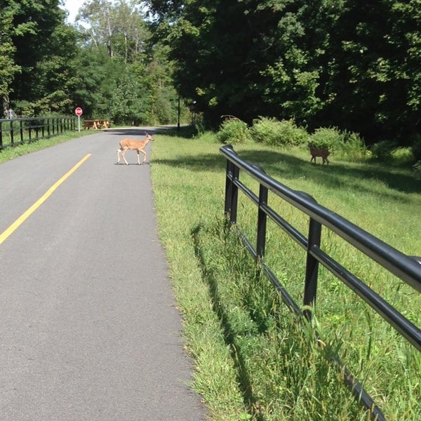 Photos at Dutchess County Rail Trail (Diddell Rd) Wappingers Falls, NY