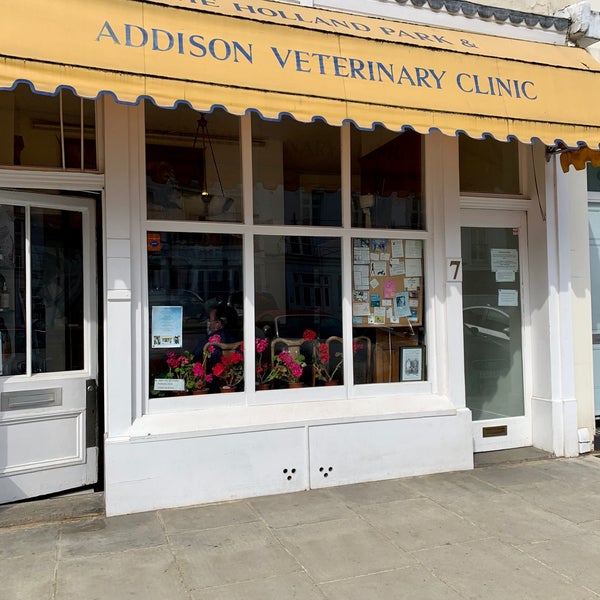 Addison veterinary sale clinic