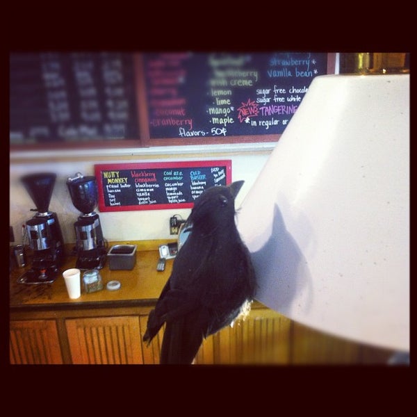 10/2/2012にNat F.がBlackbird Cafeで撮った写真