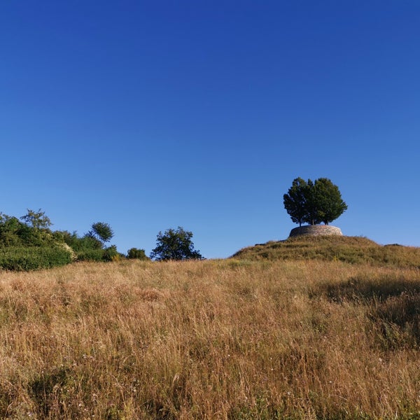 Photos At Leibfriedscher Garten Park In Nordbahnhof