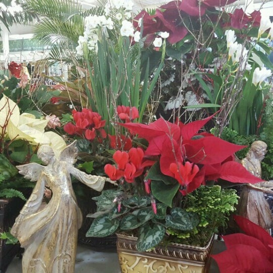 Photo taken at Pike Nurseries by Melodie M. on 12/15/2016