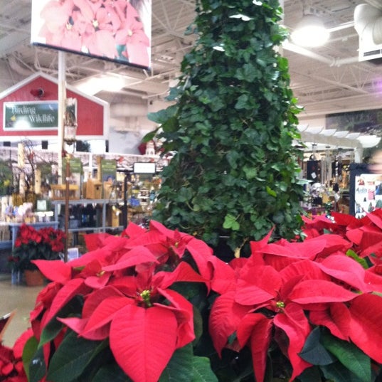 Photo taken at Pike Nurseries by Melodie M. on 11/30/2012