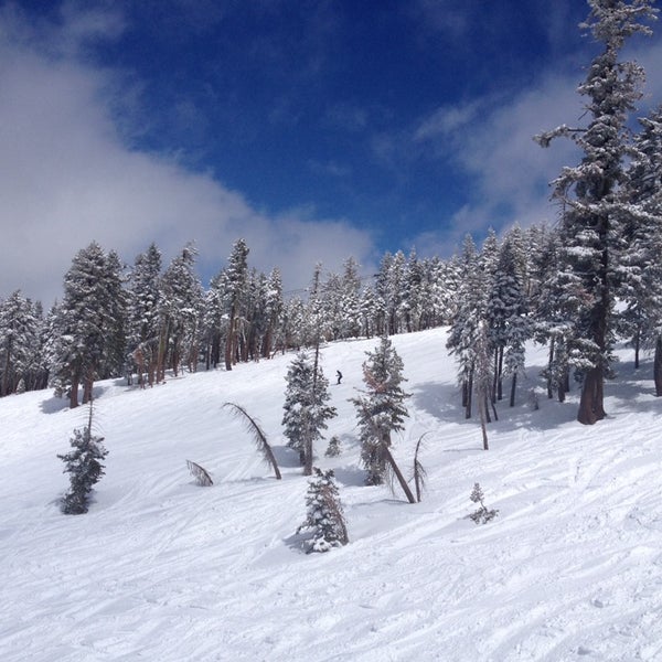 รูปภาพถ่ายที่ Bear Valley Mountain โดย robin m. เมื่อ 3/30/2014