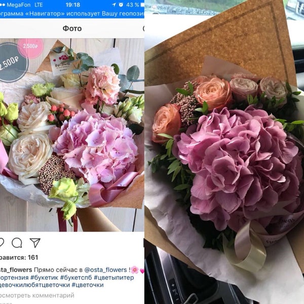 Р¦РІРµС‚С‹ osta Flowers